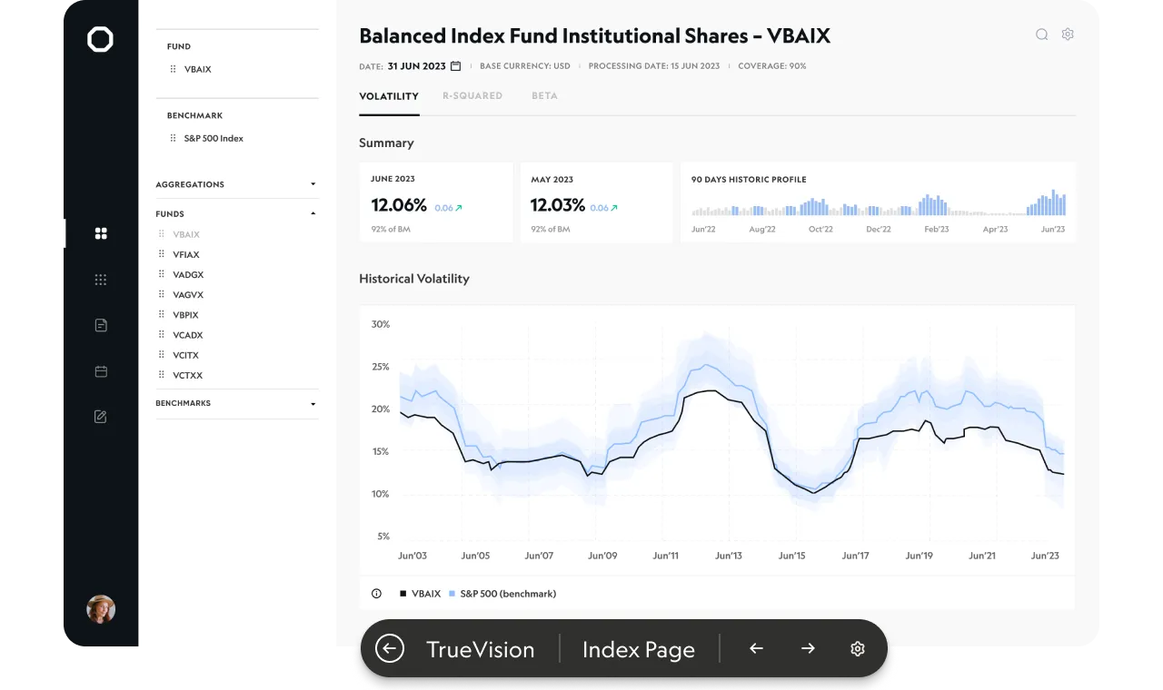 Revisio client viewer preview